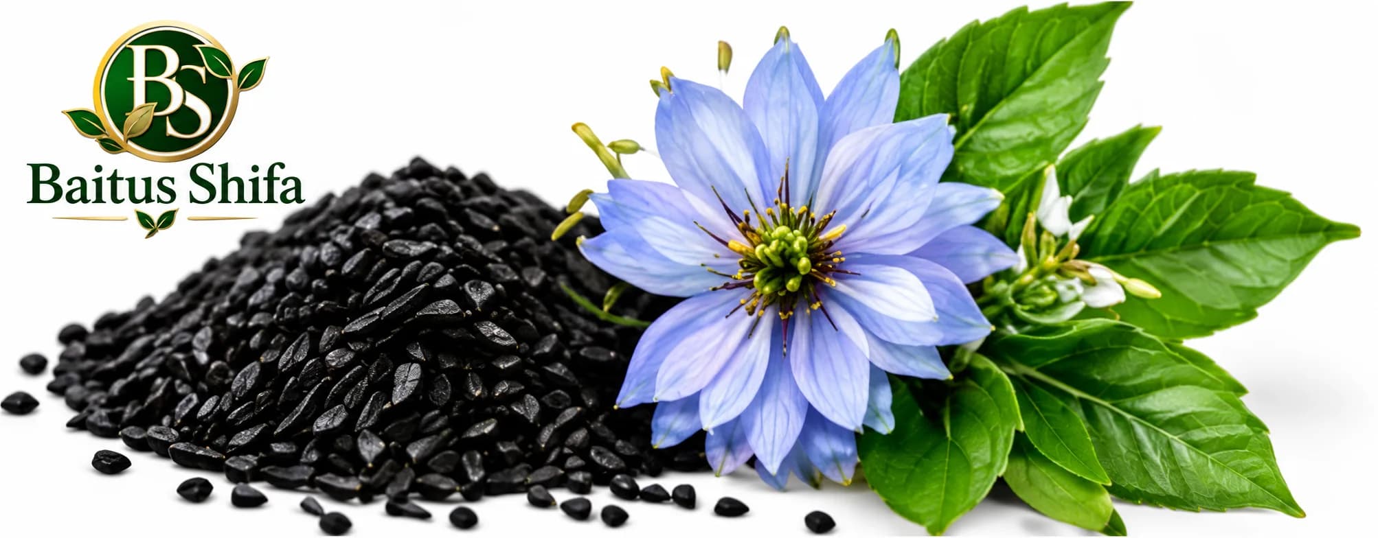 Black seeds with nigella flowers